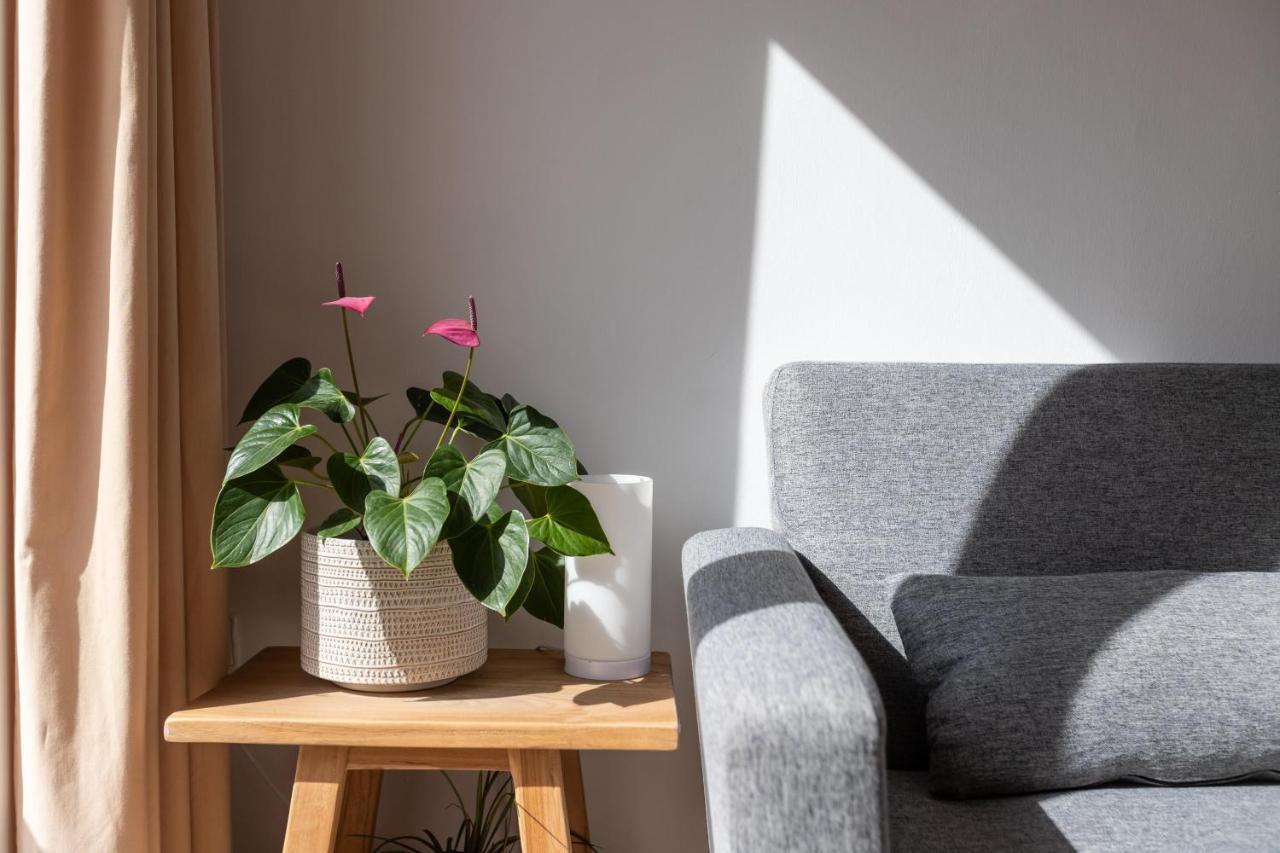 Calmahouse (adults Only) Appartement Torremolinos